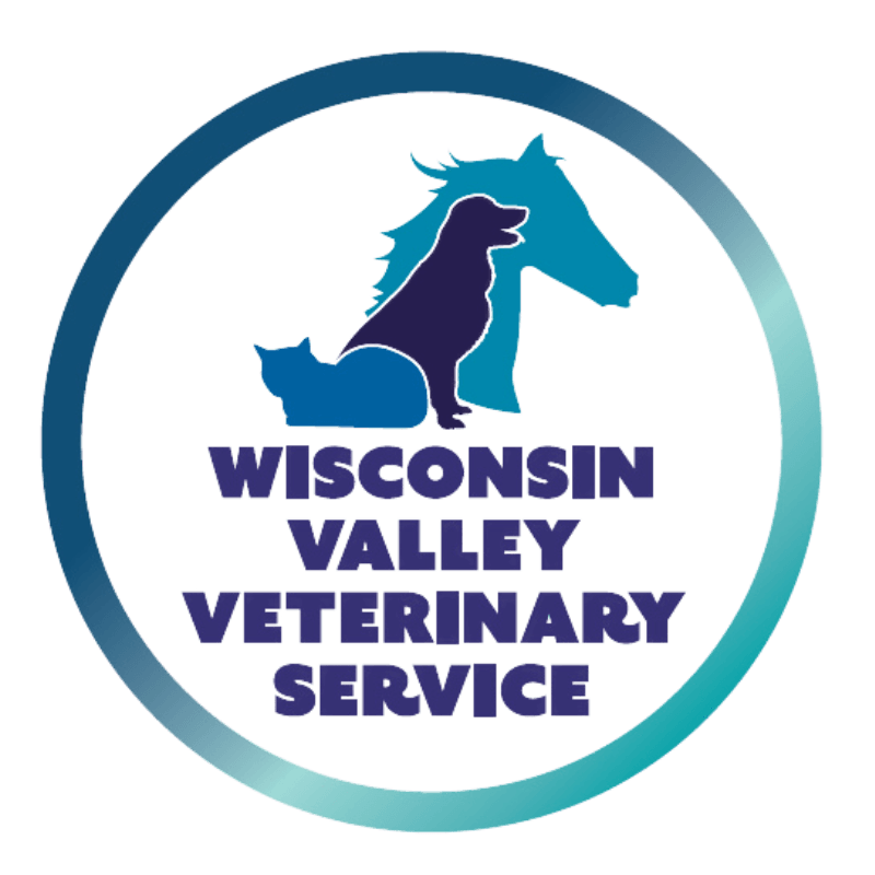 Intern Release Form | Wisconsin Valley Veterinary Service