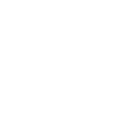 Rabbit icon